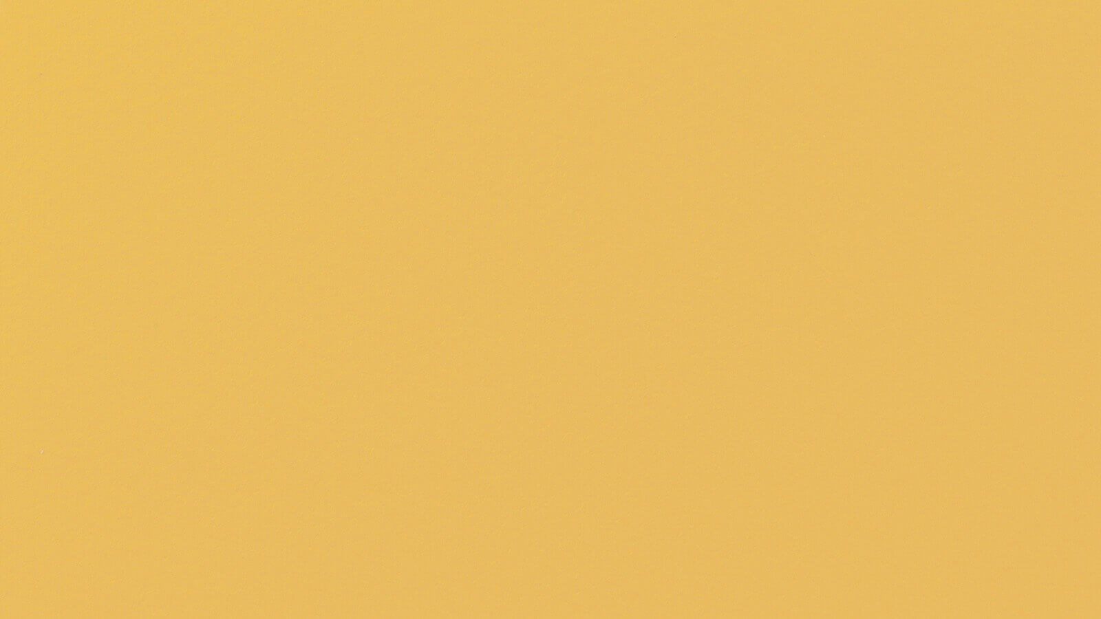 A solid yellow background with no visible patterns or objects.