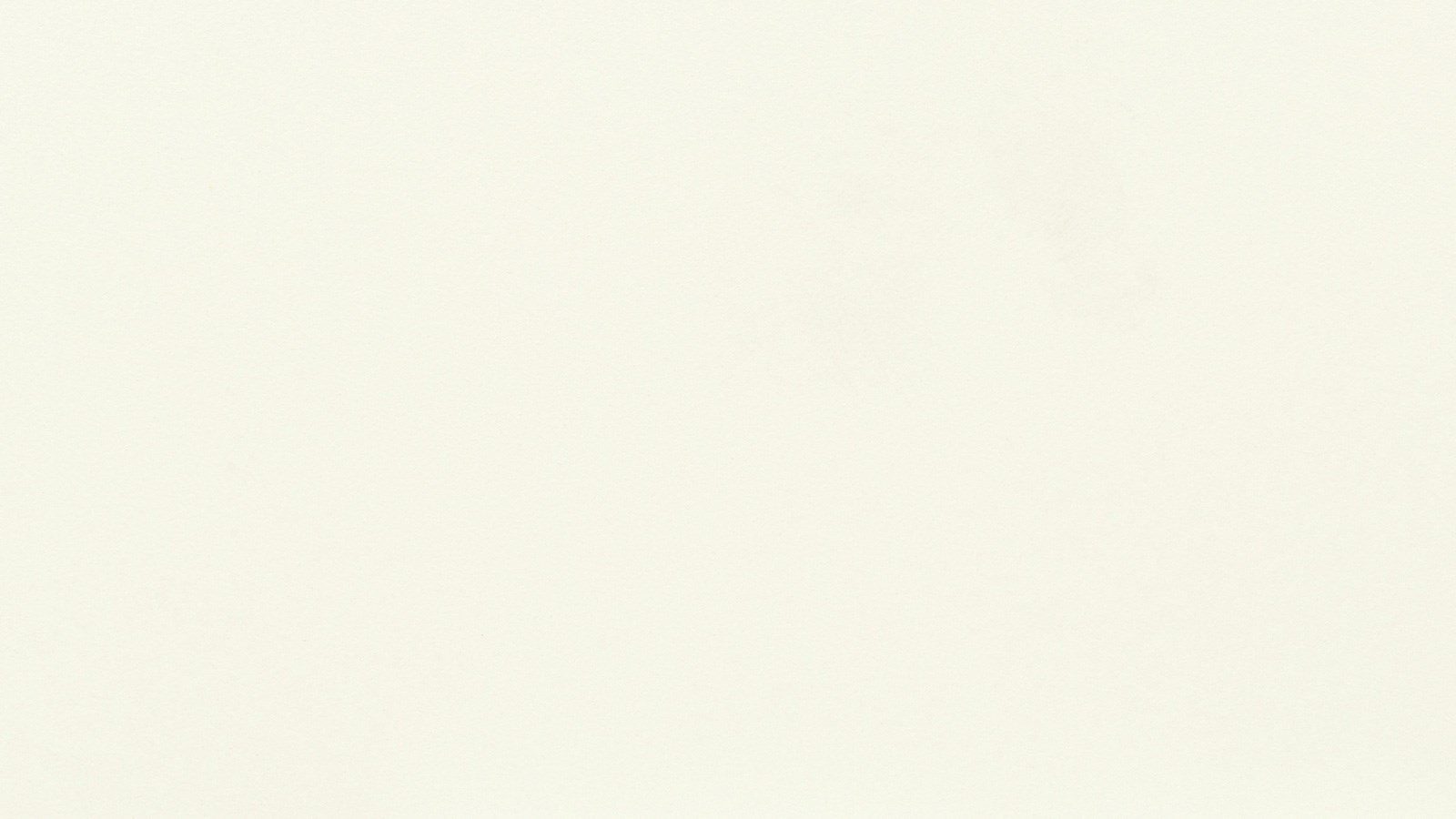 A blank white background with an off-white texture, appearing mostly uniform. Slight, barely noticeable variations in shading and texture give the surface a subtle, natural look.